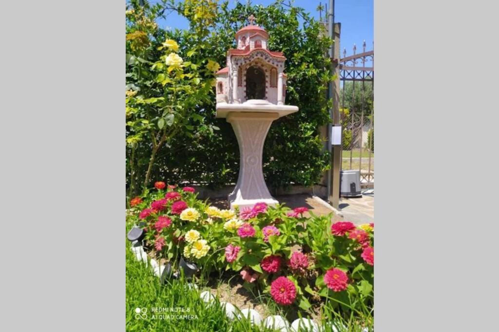 Villa Viktoria Halkidiki Nea Silata Exteriör bild