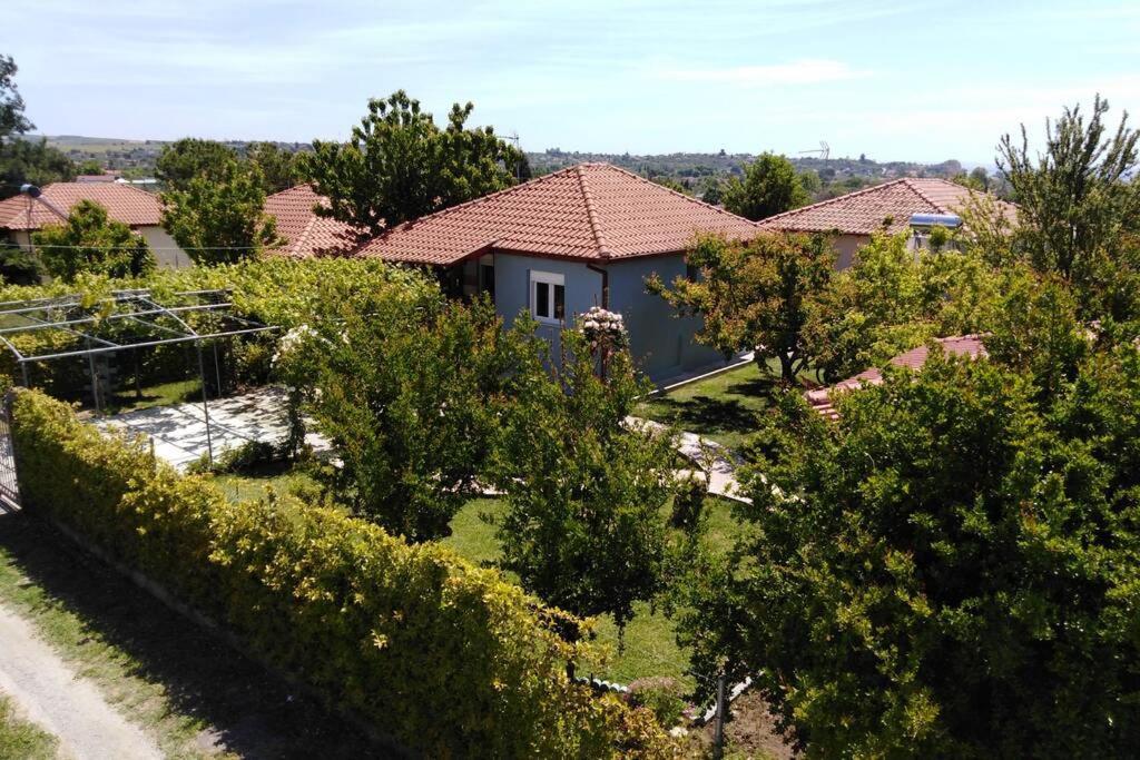 Villa Viktoria Halkidiki Nea Silata Exteriör bild