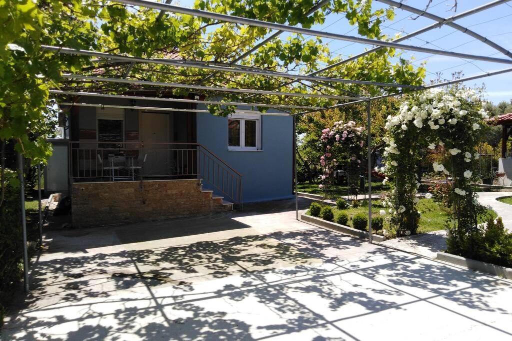 Villa Viktoria Halkidiki Nea Silata Exteriör bild