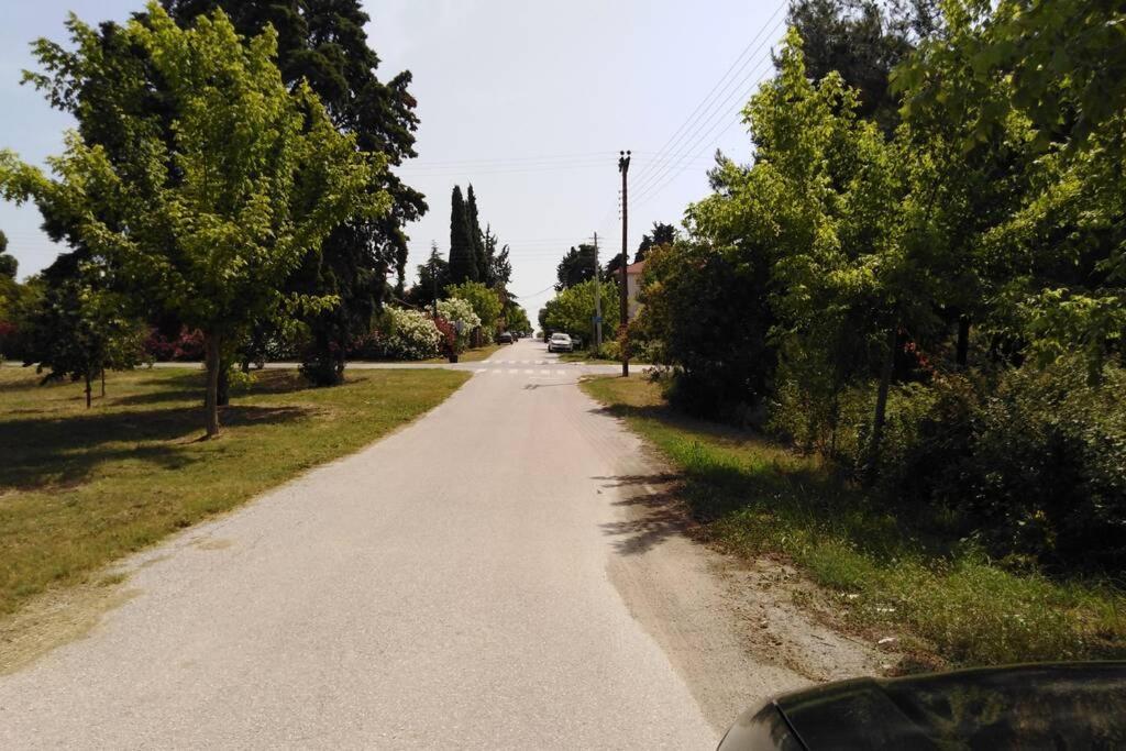 Villa Viktoria Halkidiki Nea Silata Exteriör bild