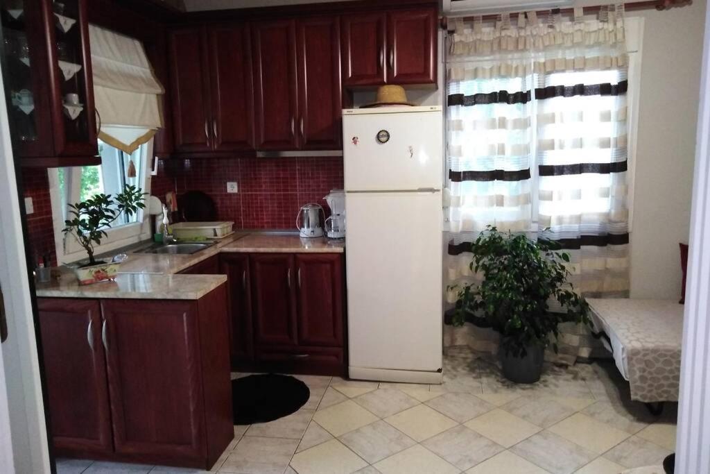 Villa Viktoria Halkidiki Nea Silata Exteriör bild