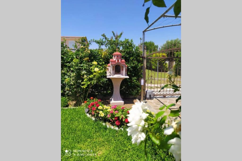 Villa Viktoria Halkidiki Nea Silata Exteriör bild