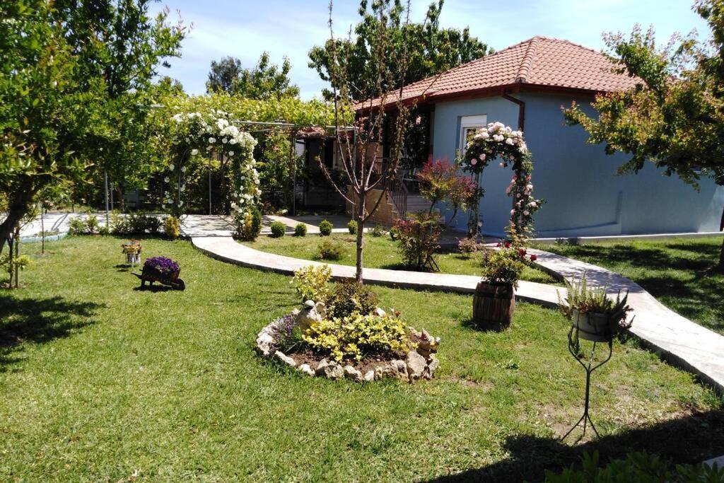 Villa Viktoria Halkidiki Nea Silata Exteriör bild