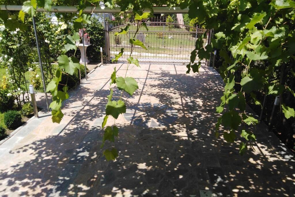 Villa Viktoria Halkidiki Nea Silata Exteriör bild